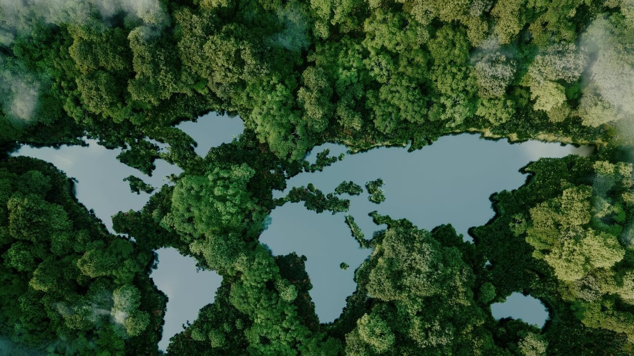 Sustainability in the Supply Chain: What Dangschat T.O.H. Is Doing Differently