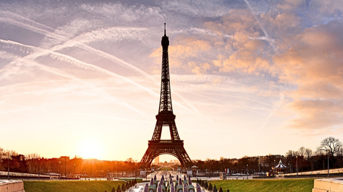 Dangschat T.O.H. at Food Ingredients Europe 2025 in Paris