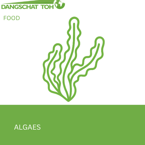 Algaes