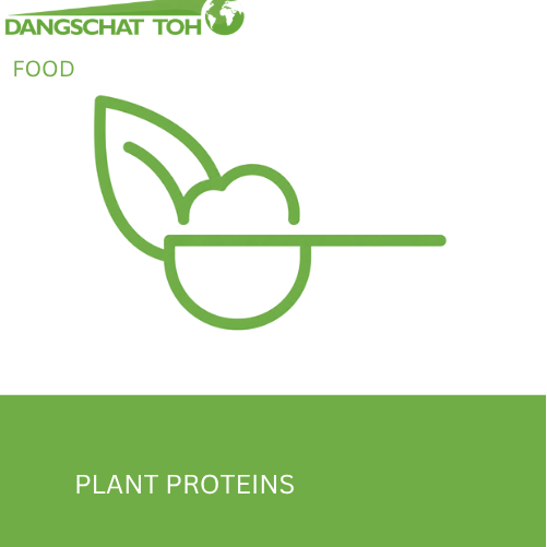 Plant Proteins