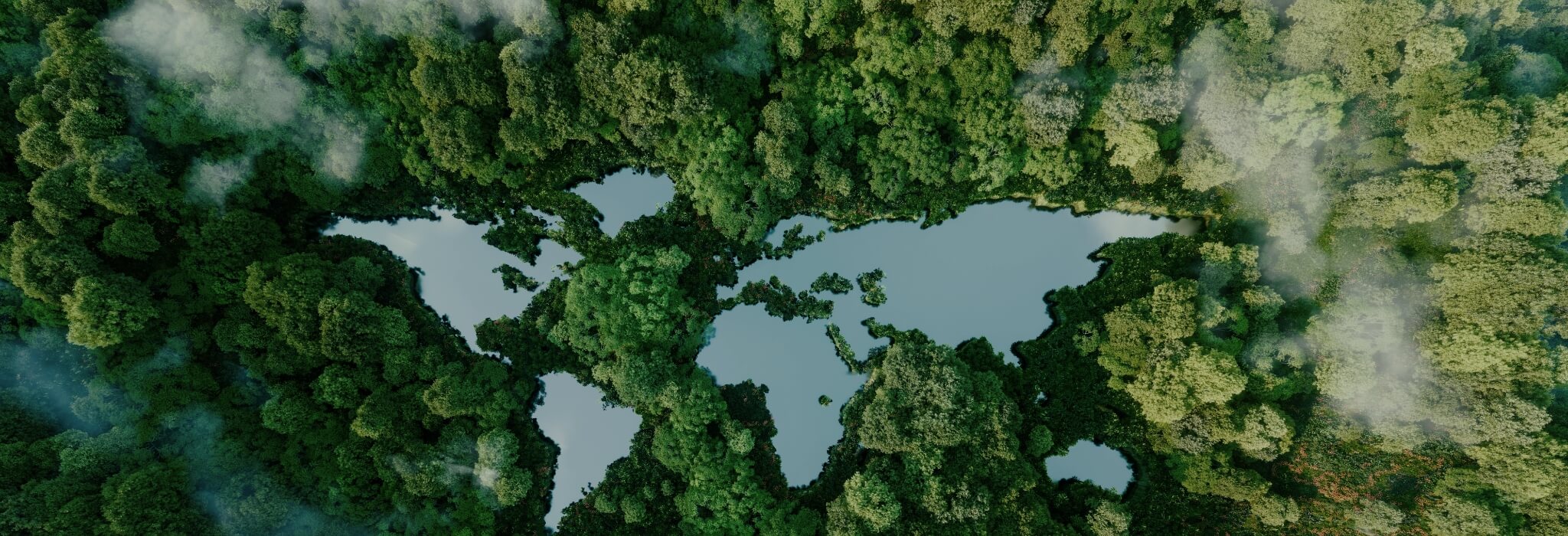 Sustainability in the Supply Chain: What Dangschat T.O.H. Is Doing Differently