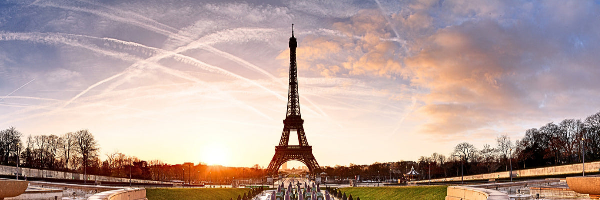 Dangschat T.O.H. at Food Ingredients Europe 2025 in Paris