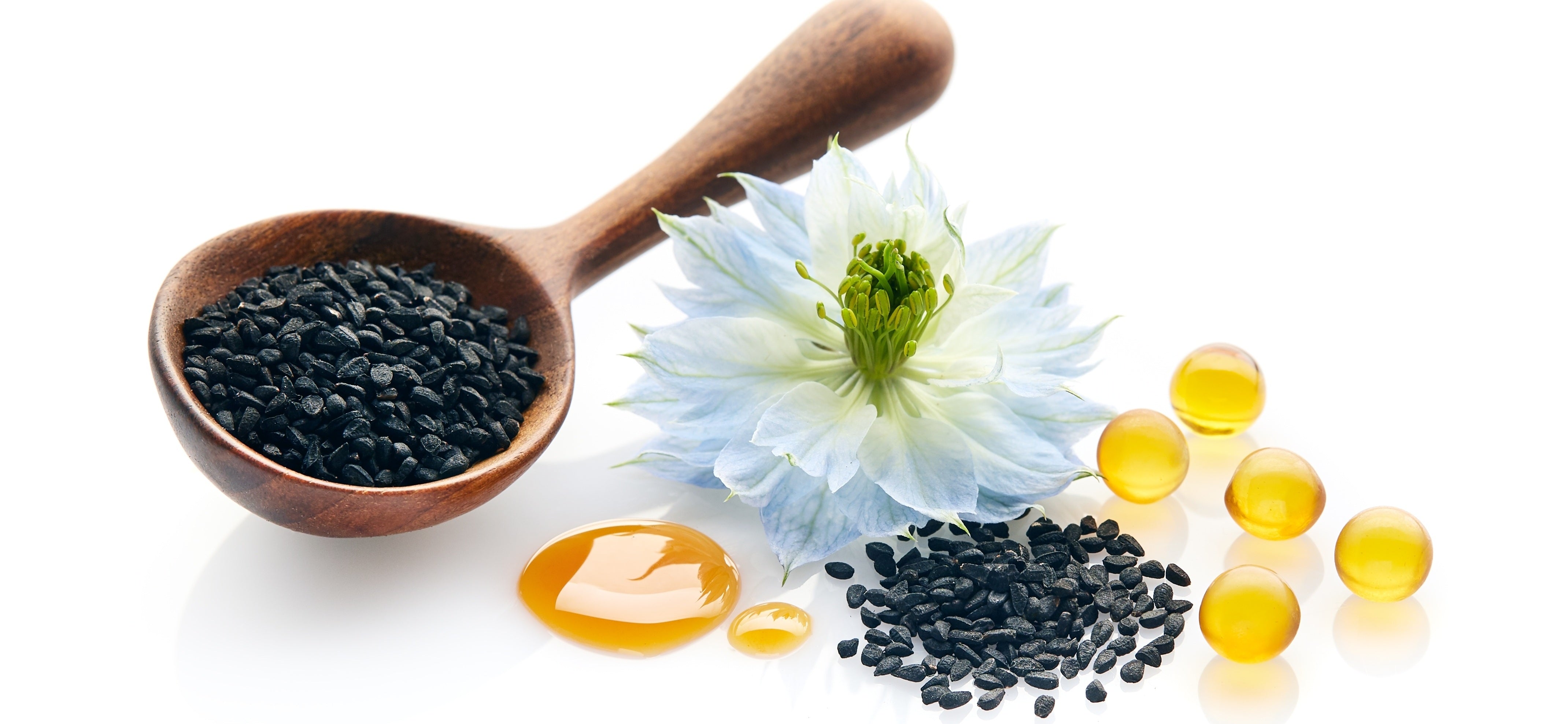 Black Cumin Oil + Extract: A Modern Approach to a Ancient Botanical